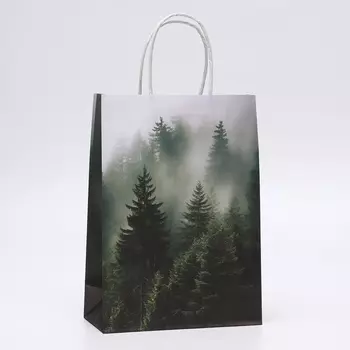 Пакет подарочный крафтовый «Туманный лес» 18825 см, 120 г/м
