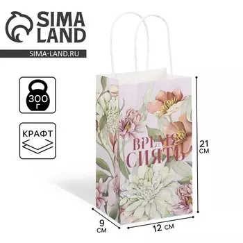 Пакет подарочный крафтовый, упаковка, «Время сиять», 12 х 21 х 9 см