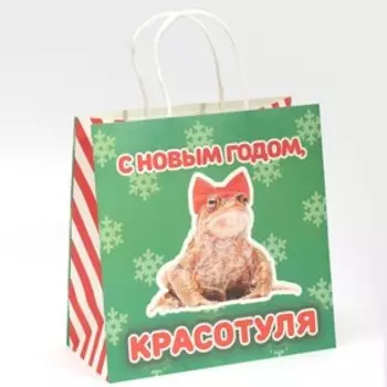 Пакет подарочный «Красотуля», 22 22 11 см