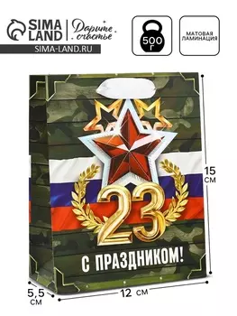 Пакет подарочный ламинированный «23 февраля», S 12 х 15 х 5.5 см