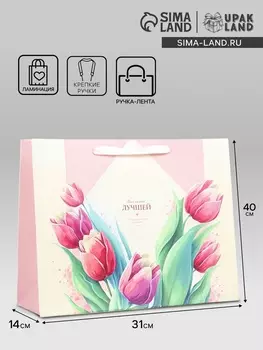 Пакет подарочный ламинированный горизонтальный «Лучшей», L 403114 см