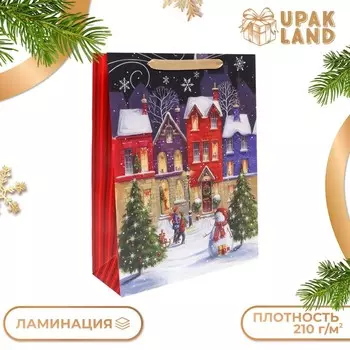 Пакет подарочный, ламинированный, «Праздник во дворе»,314011.5 см