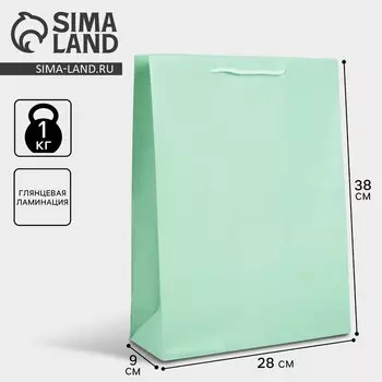 Пакет подарочный ламинированный, упаковка, зеленый, L 28 х 38 х 9 см