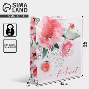 Пакет подарочный ламинированный, упаковка, Present, 40 х 49 х 15 см