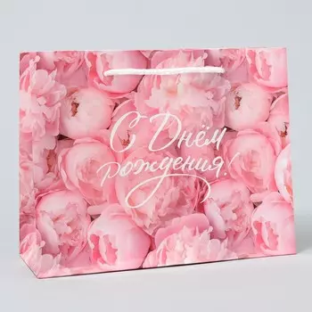 Пакет подарочный ламинированный, упаковка, «С Днём рождения!», MS 23 х 18 х 8 см