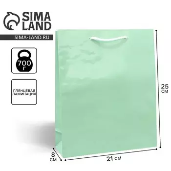 Пакет подарочный ламинированный, упаковка, «Зелёный», ML 21 х 25 х 8 см