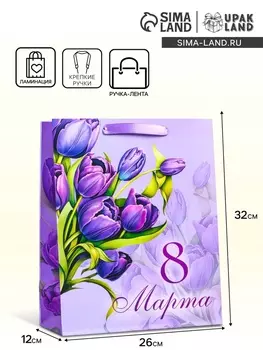 Пакет подарочный ламинированный вертикальный «Букет», M 263212 см