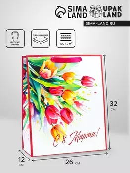 Пакет подарочный ламинированный вертикальный «С праздником!», M 26 32 12 см