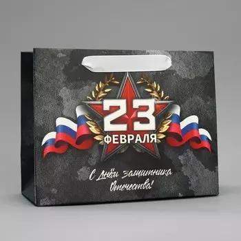 Пакет подарочный ламинированный, упаковка, «23 февраля», MS 23 х 18 х 10 см