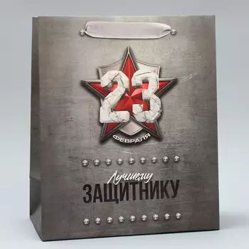 Пакет подарочный ламинированный, упаковка, «С 23 февраля», MS 18 х 23 х 10 см