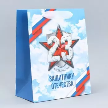 Пакет подарочный ламинированный, упаковка, «С 23 февраля», MS 18 х 23 х 10 см