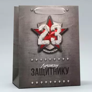 Пакет подарочный ламинированный, упаковка, «С 23 февраля», ML 23 х 27 х 11.5 см