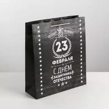 Пакет подарочный ламинированный, упаковка, «С 23 февраля», MS 18 х 23 х 10 см