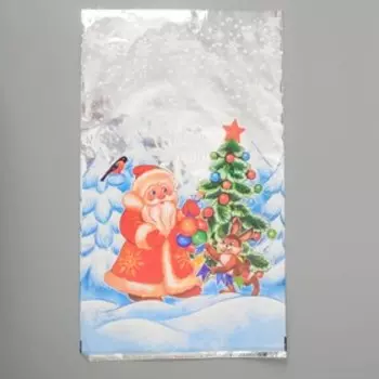 Пакет подарочный новогодний, для сладких подарков «Лесная вечеринка», 3050 см