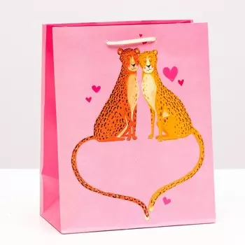 Пакет подарочный "Любовь тигрят" 18 х 22,3 х 10 см
