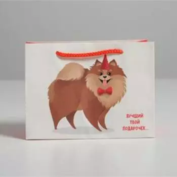Пакет подарочный «Лучший подарочек», 14,5 × 19,5 × 8,5 см