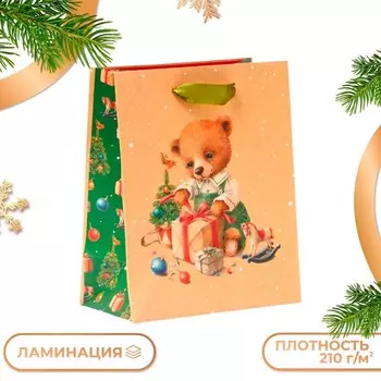 Пакет подарочный "Ми-ми-мишка", 1822.310 см