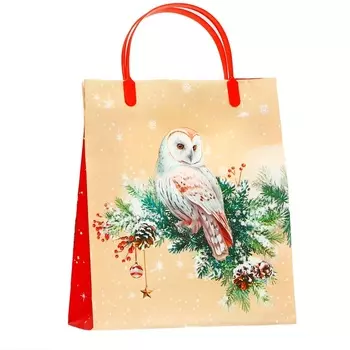 Пакет подарочный мягкий пластик «Подарок» 140 мкм Сумка 2622.58.5 см