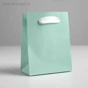 Пакет подарочный, упаковка, «Мятный», 12 х 15 х 5.5