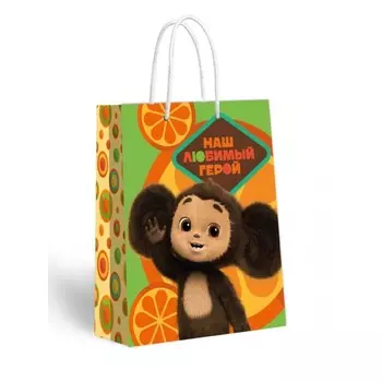 Пакет подарочный «Наш любимый герой», 335406155 мм