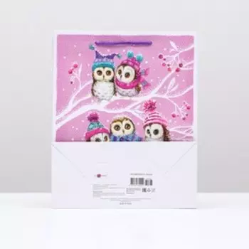 Пакет подарочный "Нежные совы", 26 х 32 х 12 см