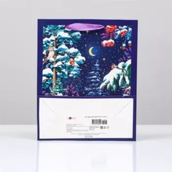 Пакет подарочный "Ночная суматоха", 26 х 32 х 12 см