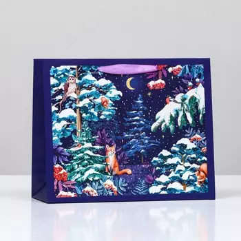 Пакет подарочный "Ночная вечеринка" , 32 х 26 х 12 см