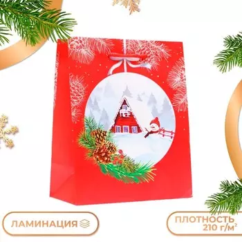 Пакет подарочный «Новгодний шар», 1822.310 см