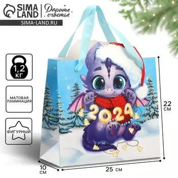 Пакет подарочный новогодний «Дракоша», 25 х 26.5 х 10 см