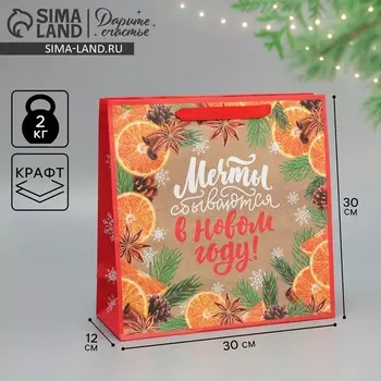 Пакет подарочный новогодний крафтовый квадратный «Мечты», 30 х 30 х 12 см
