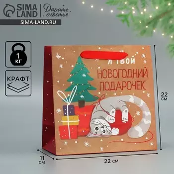 Пакет подарочный новогодний крафтовый квадратный «Подарочек», 22 х 22 х 11 см