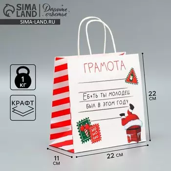 Пакет подарочный новогодний крафтовый «Молодец», 22 х 22 х 11 см