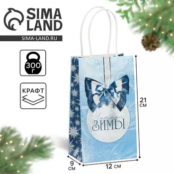 Пакет подарочный новогодний крафтовый «Уютной зимы», 12 х 21 х 9 см, Новый год