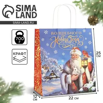 Пакет подарочный новогодний крафтовый «Яркого Нового года», 22 х 12 х 25 см