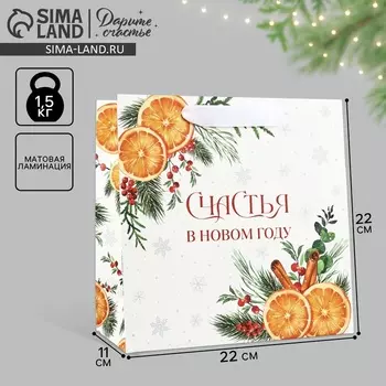 Пакет подарочный новогодний ламинированный квадратный «Счастья в Новом году», 22 х 22 х 11 см