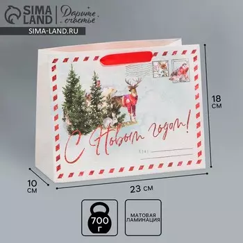 Пакет подарочный новогодний ламинированный «Новогодняя открытка», MS 18 х 23 х 10 см