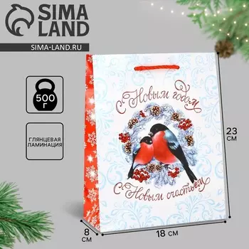 Пакет подарочный новогодний ламинированный «С Новым годом», MS 18 х 23 х 8 см