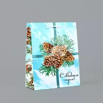 Пакет подарочный новогодний ламинированный «С Новым годом», MS 18 х 23 х 8 см