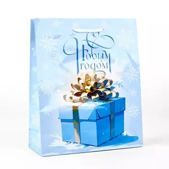 Пакет подарочный новогодний ламинированный «С Новым годом», ML 21 х 25 х 8 см