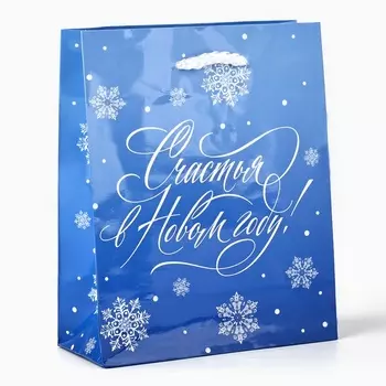 Пакет подарочный новогодний ламинированный «Счастья в Новом году», S 12 х 15 х 5.5 см