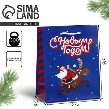 Пакет подарочный новогодний ламинированный «Спешу к тебе», S 12 х 15 х 5.5 см