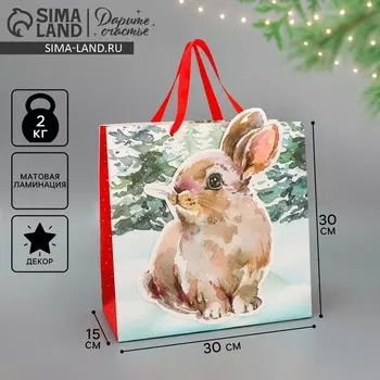 Пакет подарочный новогодний «Зайчик», 30 х 30 х 15 см