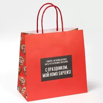 Пакет подарочный, упаковка, «Обезьяна», 22 х 22 х 11 см