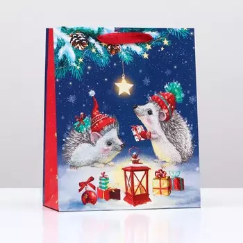 Пакет подарочный "Парочка ежей", 26 х 32 х 12 см