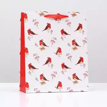 Пакет подарочный "Пернатые", 26 х 32 х 12 см