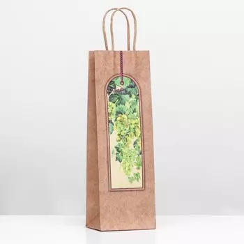 Пакет подарочный под бутылку крафт Grape 12368.5 см