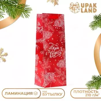 Пакет подарочный новогодний под бутылку «Перья», 133610 см