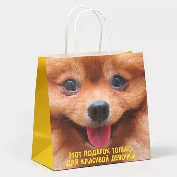 Пакет подарочный, упаковка, «Подарочек», 22 х 22 х 11 см