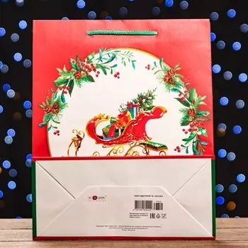 Пакет подарочный "Подарочек ", 26 х 32 х 12 см