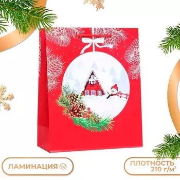 Пакет подарочный «Подарочки подъехали », 263212 см